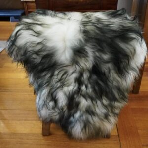 Northern Beauty - A Wonderful Thick & Soft Long Wool Icelandic Sheepskin Rug
