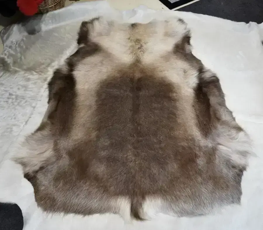 From Finland with Love - A Beautiful Reindeer Hide Rug