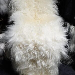 Wild & Wonderful - A Stunning Extra Long - Long Wool Icelandic Sheepskin Throw Rug