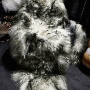 A Gorgeous Black Tipped White Extra Long Icelandic Sheepskin Throw Rug