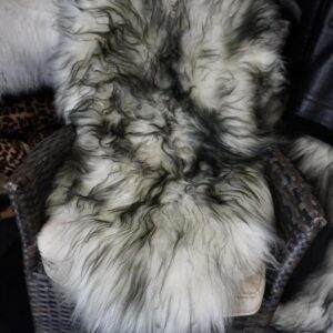 Naturally Beautiful _ A gorgeous Dark Tipped Long Wool Icelandic Sheepskin Rug