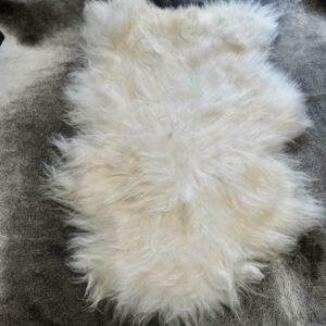 A Beautiful Snow White Long Wool Icelandic Sheepskin Rug