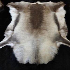 An Amazingly Beautiful Premium Quality Reindeer Hide -