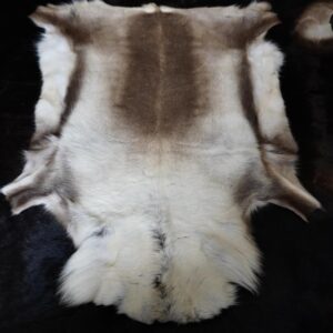 Wonderful Markings - A Beautiful Natural Reindeer Pelt