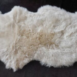 Beautiful Champagne Tones - A Lovely 1600mm Long Australian Sheepskin Rug