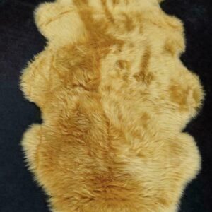Gorgeous Golden Tan 1600mm Long Super Thick & Soft Australian Sheepskin Rug