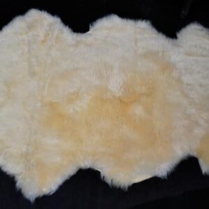 Beautiful In Buttermilk - A Lovely Thick & Super Soft 1600mm Long Australian Sheepskin Rug