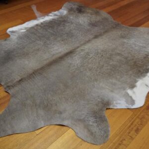 A Winter Coat - A Rippling Curl - A Beautiful Cowhide Rug