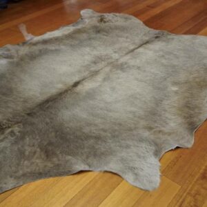 A Shaggy Winter Coat -  A Wonderful Charolais Cowhide Rug
