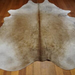 A Short Smooth Golden Summer Coat - A Simply Beautiful Hide