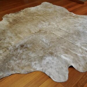 A Big & Beautiful Hide with a soft winter coat in Two Tones of Gold -