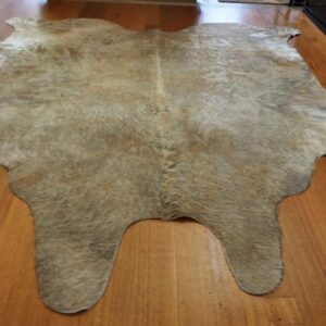 A Massive Heavy Hide - Touched with Ginger and Gold - Just Magnificent