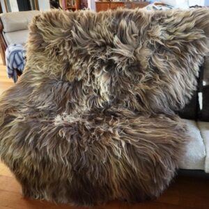 Wild & Wonderful A Stunning 2000mm x 1300mm Genuine Sunkissed Brown Icelandic Sheepskin Rug