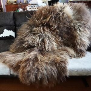 Naturally Beautiful - A Sun Kissed Brown Long Wool 1500mm x 1100mm Icelandic Sheepskin Rug