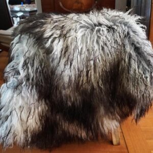 Natural Dark Tipped Curly Grey   1100mm x 1100mm Long Wool Icelandic Sheepskin Rug