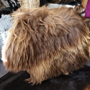 From the Arctic Circle With Love - A Gorgeous Sun Kissed Brown Natural Icelandic Sheepskin Rug