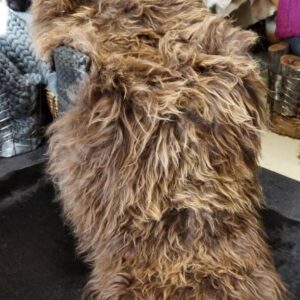 A Beautiful Double Length Icelandic Sheepskin Rug - Luxuriate in Natural Style