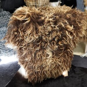 Naturally Curly, Naturally Beautiful - Amazing Decor from the Coldest Regions of the World