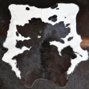 A Beautiful Friesian Calfskin Rug