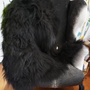 Beautiful Double WIdth Natural Black Icelandic Sheepskin Rug
