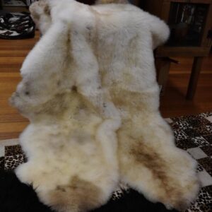 A Gorgeous 2000mm x 1200mm European Sheepskin Rug