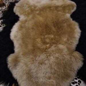 Beautiful Warm Caramel Tones - A Gorgeous Double Length Australian Sheepskin Rug
