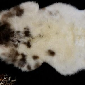 Rich Brown over Cream - A Beautiful European Sheepskin Rug
