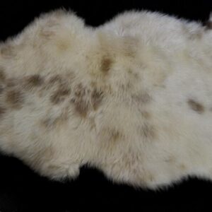 Soft Caramel Markings - A Beautiful European Sheepskin Rug
