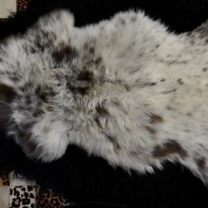Beautiful Markings - A European Sheepskin Rug