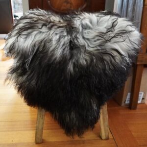 Totally Beautiful & Naturally Curly - A Stunning Long Wool Icelandic Sheepskin Rug