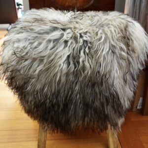 I am Stunning -  Perfect for You Home - A Naturally Curly Icelandic Sheepskin Rug