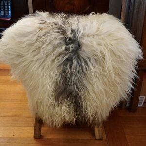 Just Stunning - A Totally Beautiful Naturally Curly Grey and White Long Wool Icelandic Sheepskin Rug