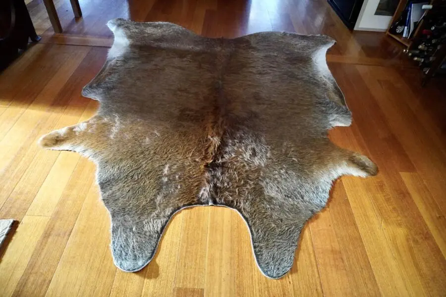 A Big Beautiful Rustic Settlers Hide - A Glorious Rug