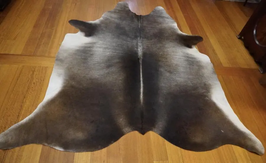 Shadowy Tones and  Striking Markings - A Wonderful Cowhide Rug