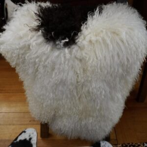 Black on White - Naturally Curly - An Absolutely Gorgeous Icelandic Sheepskin Rug
