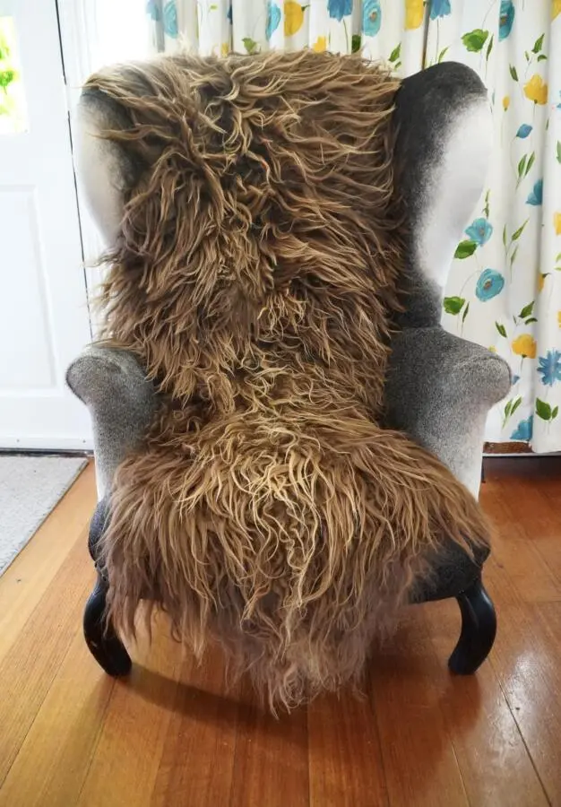 Stunning Double Length Curly Sun Kissed Brown Icelandic Sheepskin Rug