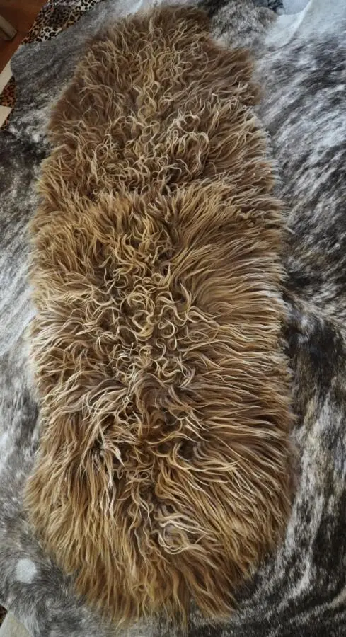 Naturally Curly - A Stunning Double Length Long Wool Icelandic Sheepskin Rug