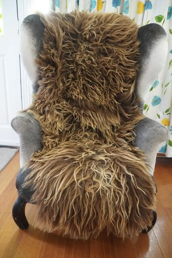 Double Length Sun Kissed Curly Icelandic Sheepskin Rug