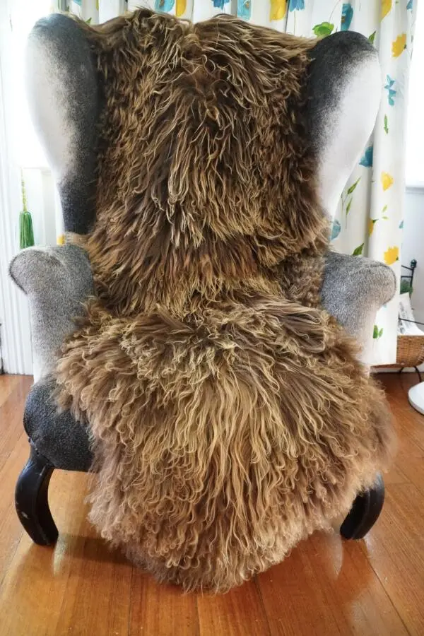 A Totally Gorgeous Double Length Naturally Curly Sun Kissed Brown Icelandic Sheepskin Rug