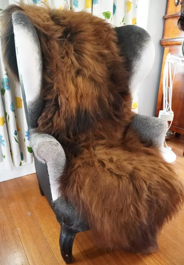 Black & Tan - An Absolutely Beautiful Double Length Long Wool Icelandic Sheepskin Rug