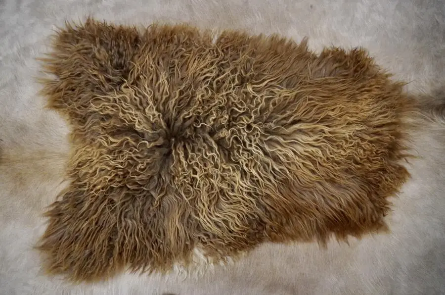 Golden Brown & Naturally Curly - A Stunning Long Wool Icelandic Sheepskin Rug