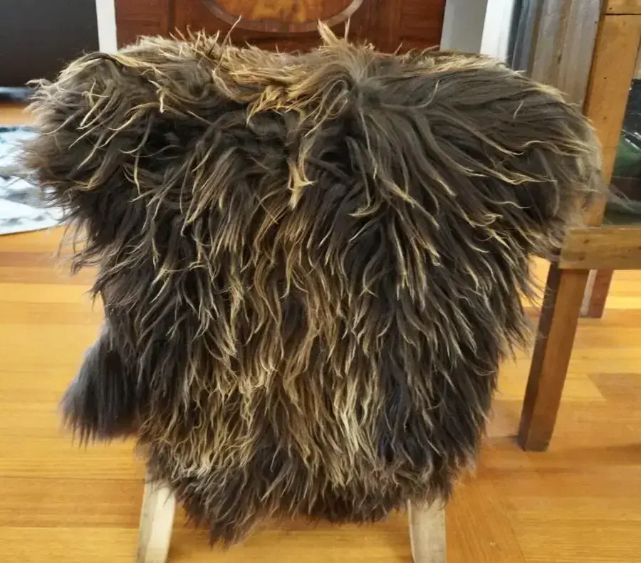 Sun Kissed Brown - A Natural Long Wool Icelandic Sheepskin Rug