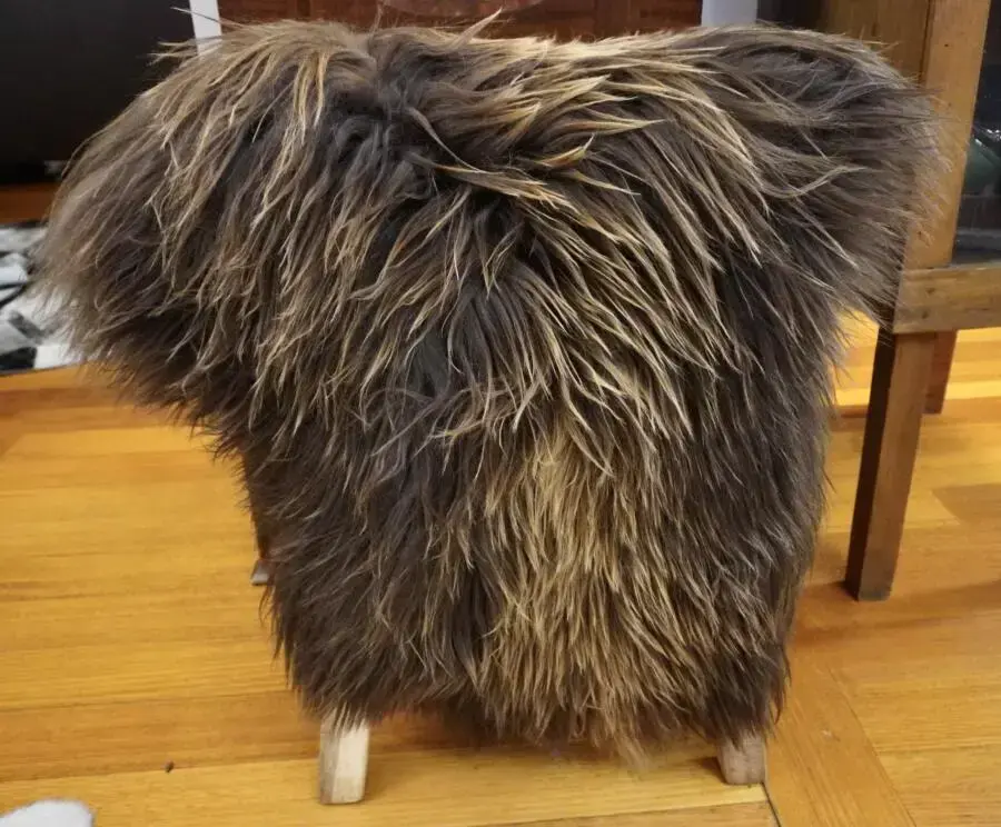 For The Wild at Heart - A Stunning Icelandic Sheepskin Rug