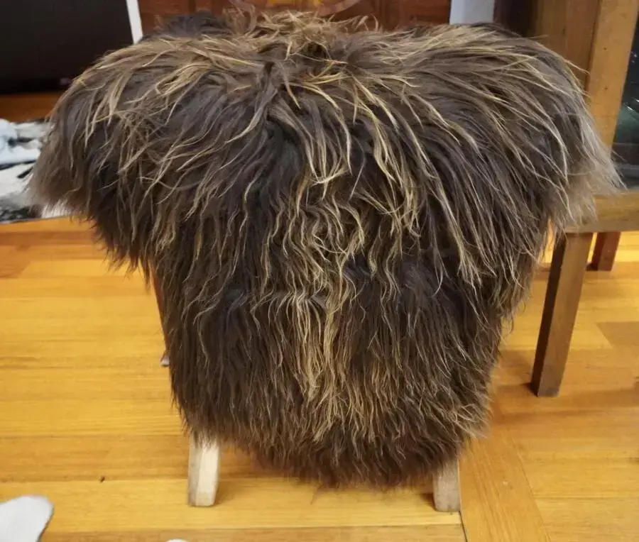 WILD AND WONDERFUL - A BEAUTIFUL ICELANDIC SHEEPSKIN RUG