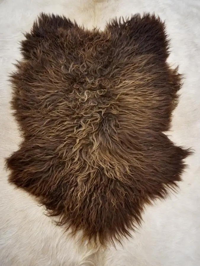 Sun Kissed Brown - A Naturally Curly Long Wool Icelandic Sheepskin Rug