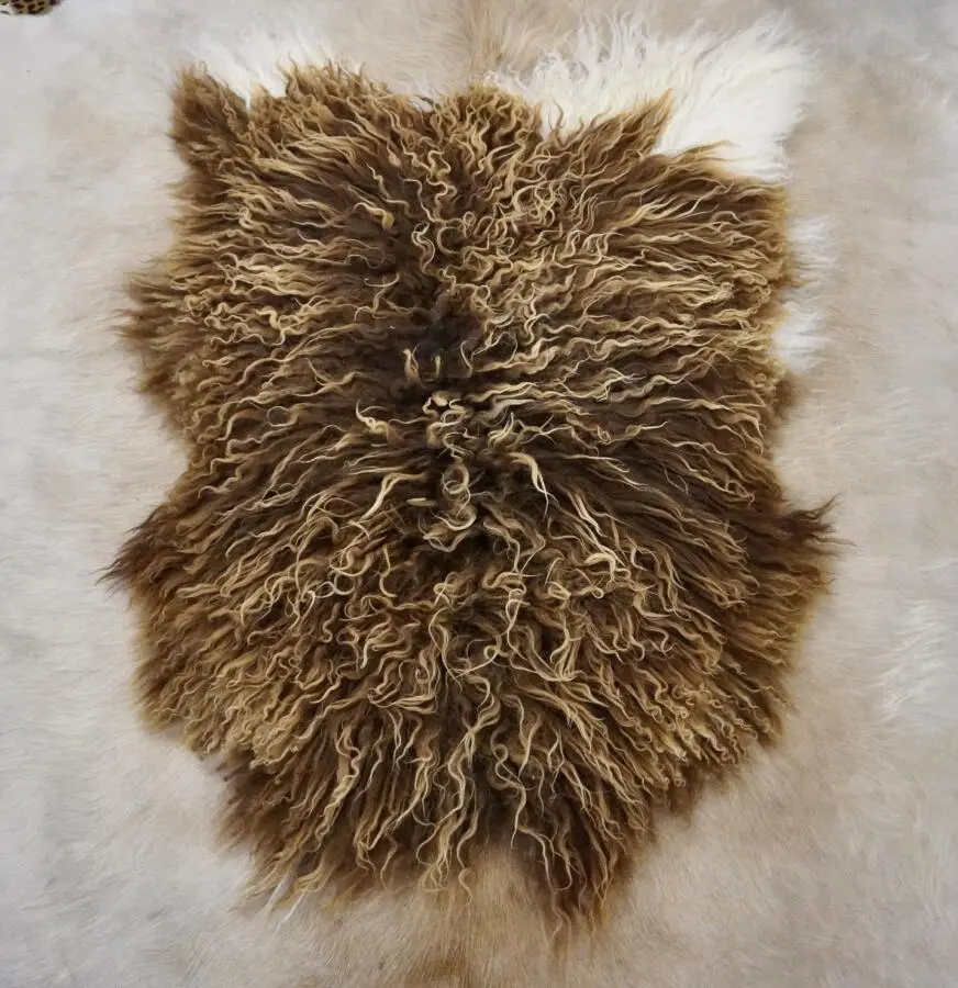 Beautiful Sun Kissed Long Wool Icelandic Sheepskin Rug