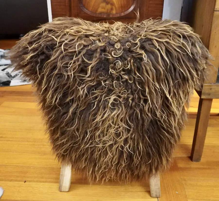 Naturally Curly - Naturally Beautiful Long Wool Icelandic Sheepskin Rug