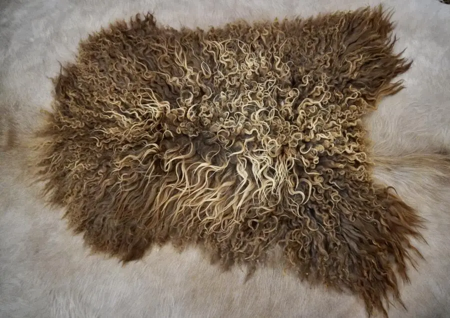 Curly Sunkissed Brown - A Stunning Long Wool Icelandic Sheepskin Rug