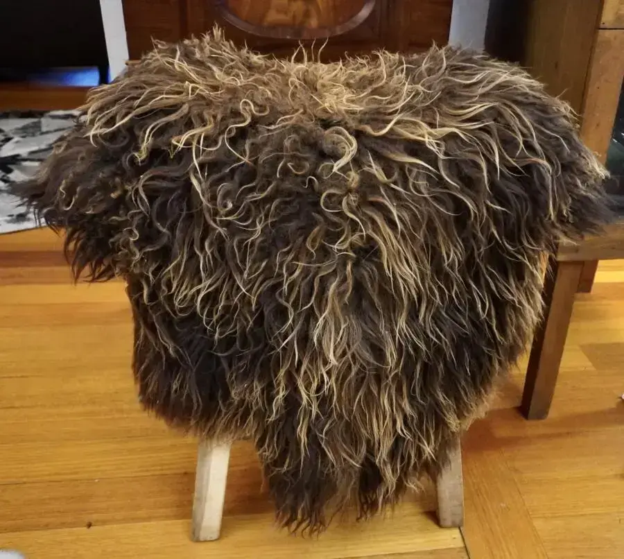 BeautiFul Brown & Naturally Curly - A Stunning Icelandic Sheepskin Rug