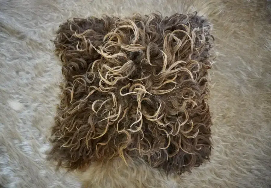 A Statement Piece - A Beautiful Naturally Curly 50cm Sq Icelandic Sheepskin Cushion Cover